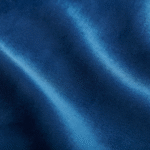 BLUE PLUSH VELVET